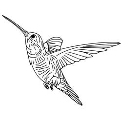 Coloriage Colibri (Animaux) #208602 à imprimer et colorier