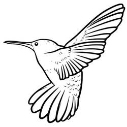 Coloriage Colibri (Animaux) #208604 à imprimer et colorier