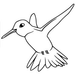 Coloriage Colibri (Animaux) #208605 à imprimer et colorier
