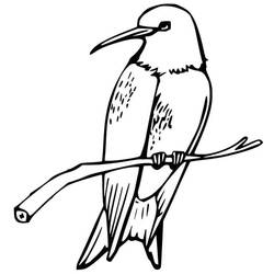 Dessin à colorier: Colibri (Animaux) #208606 - Coloriages à Imprimer Gratuits