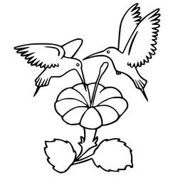 Dessin à colorier: Colibri (Animaux) #208610 - Coloriages à Imprimer Gratuits