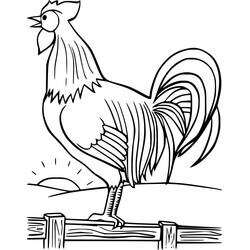 Coloriage Coq (Animaux) #207127 à imprimer et colorier