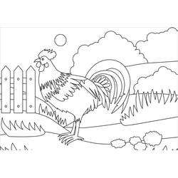 Coloriage Coq (Animaux) #207150 à imprimer et colorier
