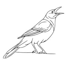 Coloriage Corbeau (Animaux) #208992 à imprimer et colorier