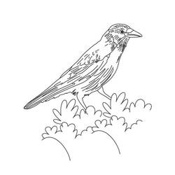 Coloriage Corbeau (Animaux) #209002 à imprimer et colorier