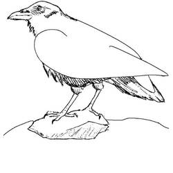Coloriage Corbeau (Animaux) #209003 à imprimer et colorier