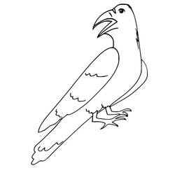 Coloriage Corbeau (Animaux) #209005 à imprimer et colorier