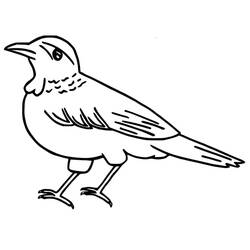 Coloriage Corbeau (Animaux) #209007 à imprimer et colorier