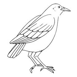 Coloriage Corbeau (Animaux) #209011 à imprimer et colorier