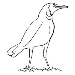 Coloriage Corbeau (Animaux) #209014 à imprimer et colorier