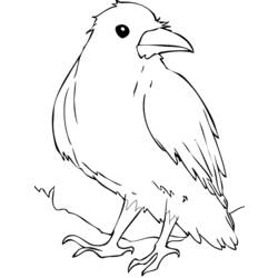 Dessin à colorier: Corbeau (Animaux) #4357 - Coloriages à Imprimer Gratuits