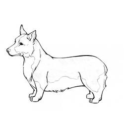 Dessin à colorier: Corgi (Animaux) #220759 - Coloriages à Imprimer Gratuits
