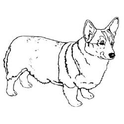 Dessin à colorier: Corgi (Animaux) #220767 - Coloriages à Imprimer Gratuits