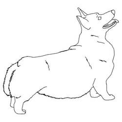 Dessin à colorier: Corgi (Animaux) #220793 - Coloriages à Imprimer Gratuits