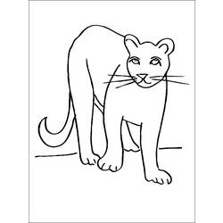 Dessins à colorier: Cougar - Coloriages à imprimer