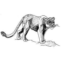 Dessin à colorier: Cougar (Animaux) #4385 - Coloriages à Imprimer Gratuits