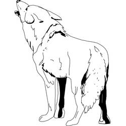 Coloriage Coyote (Animaux) #207092 à imprimer et colorier