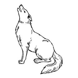 Coloriage Coyote (Animaux) #207112 à imprimer et colorier