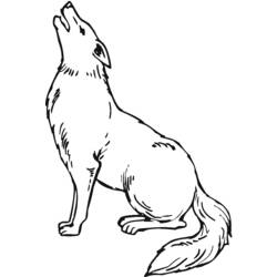 Dessins à colorier: Coyote - Coloriages à imprimer