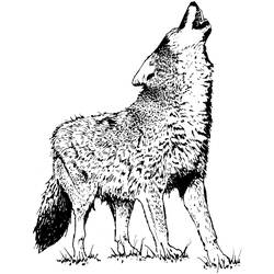 Dessin à colorier: Coyote (Animaux) #4542 - Coloriages à Imprimer Gratuits