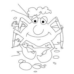 Coloriage Crabe (Animaux) #199411 à imprimer et colorier
