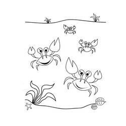 Coloriage Crabe (Animaux) #199427 à imprimer et colorier