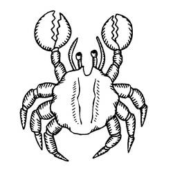 Coloriage Crabe (Animaux) #199429 à imprimer et colorier