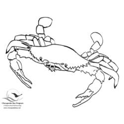 Dessin à colorier: Crabe (Animaux) #4592 - Coloriages à Imprimer Gratuits