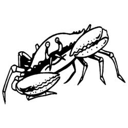 Dessin à colorier: Crabe (Animaux) #4602 - Coloriages à Imprimer Gratuits