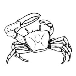 Dessin à colorier: Crabe (Animaux) #4613 - Coloriages à Imprimer Gratuits