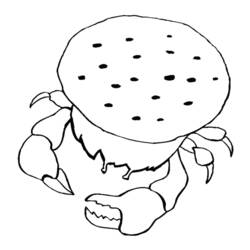 Dessin à colorier: Crabe (Animaux) #4655 - Coloriages à Imprimer Gratuits