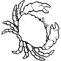 Dessin à colorier: Crabe (Animaux) #4670 - Coloriages à Imprimer Gratuits