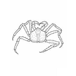 Dessin à colorier: Crabe (Animaux) #4675 - Coloriages à Imprimer Gratuits