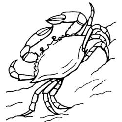 Dessin à colorier: Crabe (Animaux) #4717 - Coloriages à Imprimer Gratuits