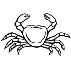 Dessin à colorier: Crabe (Animaux) #4747 - Coloriages à Imprimer Gratuits