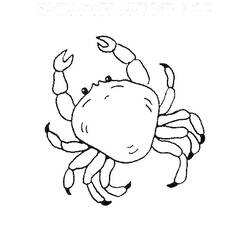 Dessin à colorier: Crabe (Animaux) #4777 - Coloriages à Imprimer Gratuits