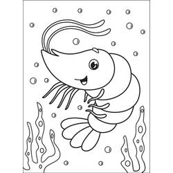Dessins à colorier: Crevette - Coloriages à Imprimer Gratuits