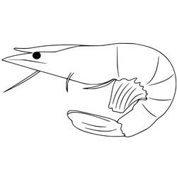 Coloriage Crevette (Animaux) #208543 à imprimer et colorier