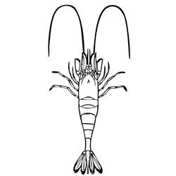 Coloriage Crevette (Animaux) #208555 à imprimer et colorier