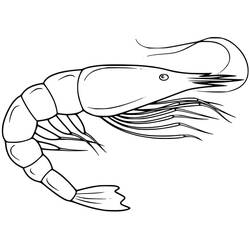Coloriage Crevette (Animaux) #208556 à imprimer et colorier