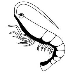 Coloriage Crevette (Animaux) #208559 à imprimer et colorier