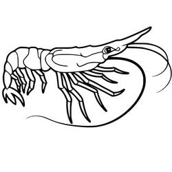 Coloriage Crevette (Animaux) #208560 à imprimer et colorier