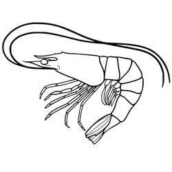 Coloriage Crevette (Animaux) #208562 à imprimer et colorier