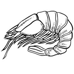 Coloriage Crevette (Animaux) #208563 à imprimer et colorier