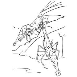 Coloriage Crevette (Animaux) #208565 à imprimer et colorier