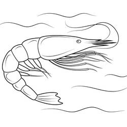 Coloriage Crevette (Animaux) #208572 à imprimer et colorier