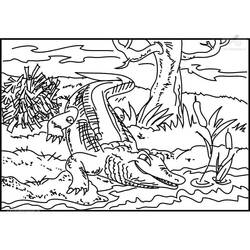 Coloriage Crocodile (Animaux) #179010 à imprimer et colorier