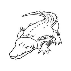 Coloriage Crocodile (Animaux) #179013 à imprimer et colorier