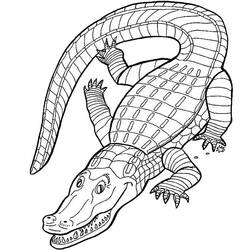 Dessin à colorier: Crocodile (Animaux) #4791 - Coloriages à Imprimer Gratuits