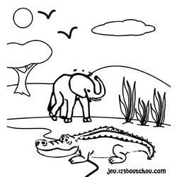 Dessin à colorier: Crocodile (Animaux) #4796 - Coloriages à Imprimer Gratuits